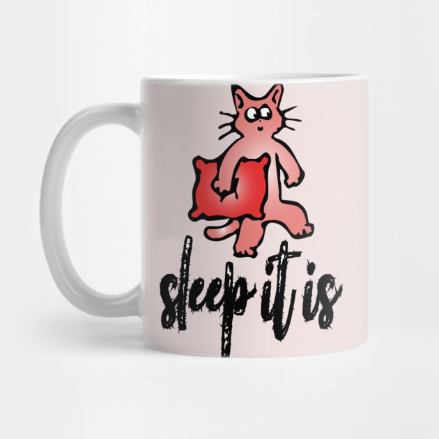 sleep it is cat by lazykitty